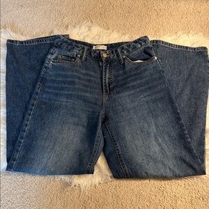 Oat New York Blue Denim Jeans Size 2